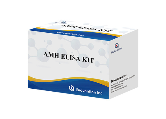 Serum AMH Anti Mullerian Hormone Test Elisa Test Kit BIOVANTION